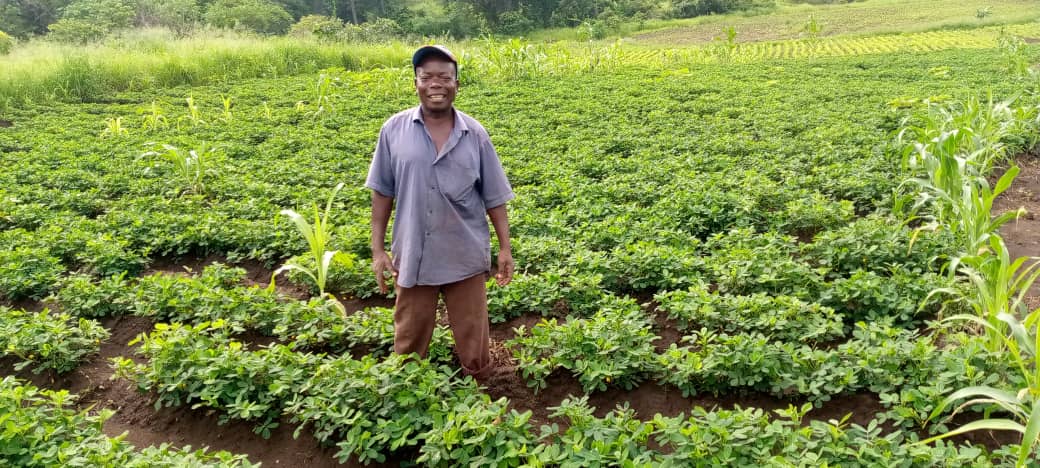 Farmer training session
